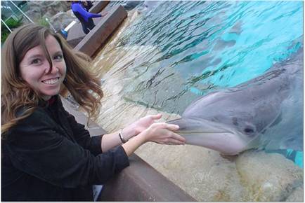 Dolphin Encounter gives you the personal quality time you've always wanted.