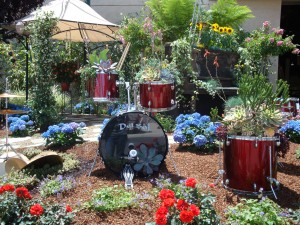 Floral Frenzy at the San Diego Fair