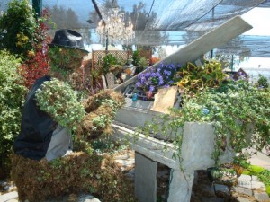 Piano Player Topiary