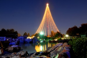 the tree of lights will rock 'n' roll this season