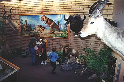 Natural history wing of Heritage of the Americas Museum