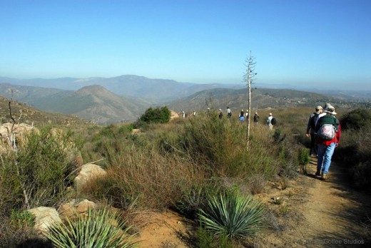 St. Patrick's Day Hike at the San Dieguito Lagoon Trail