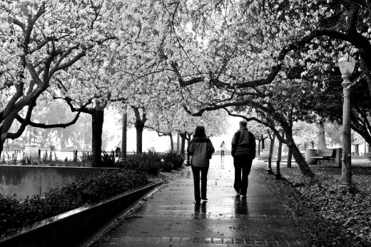 Balboa Park in the Rain