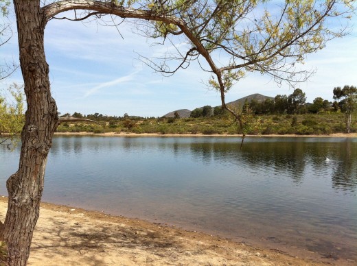 The Calm Waters of Lake Murray