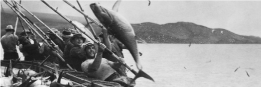 Tuna Fishing - San Diego History Center