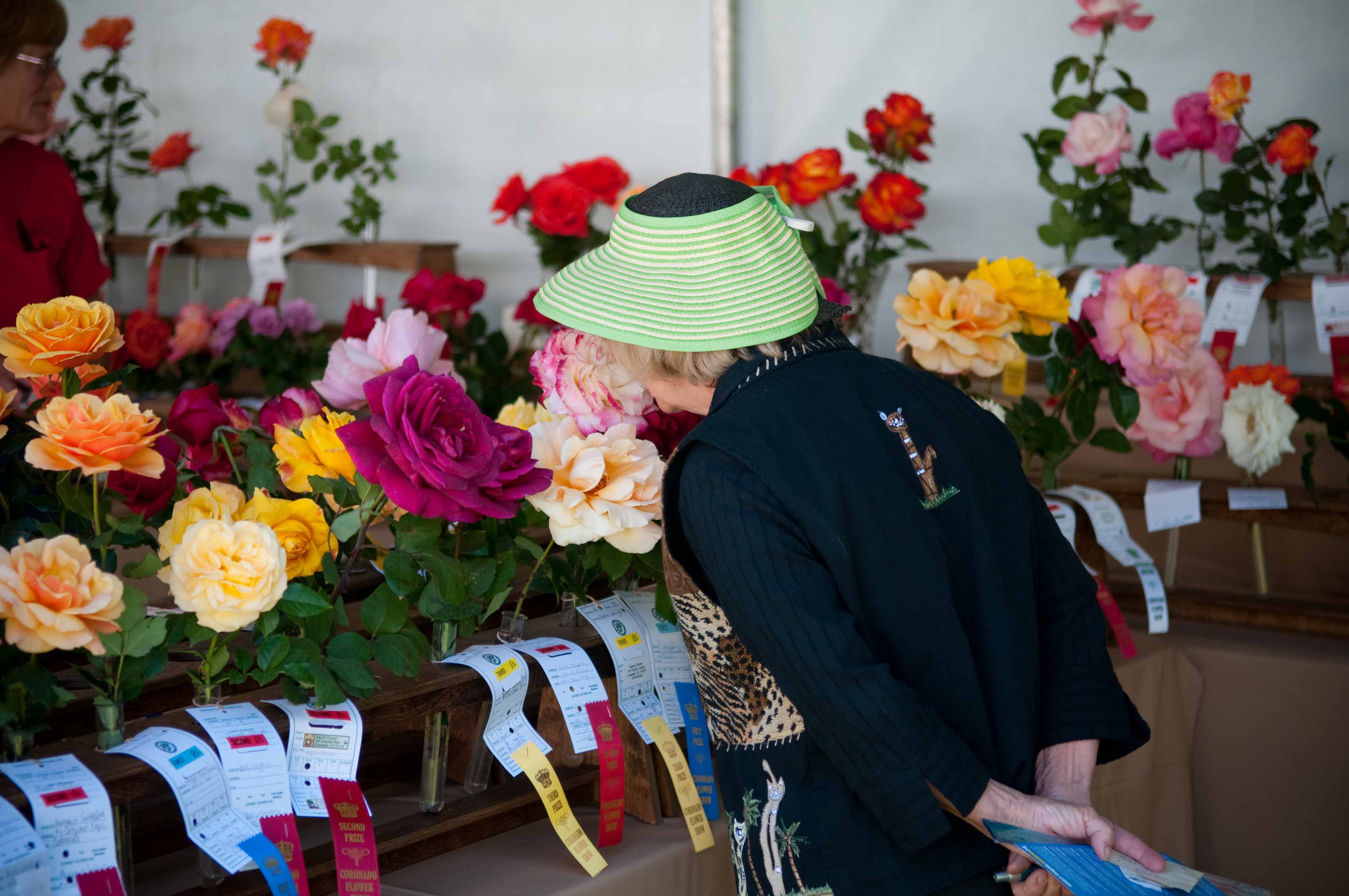 Coronado Flower Show - Top Things to Do in San Diego