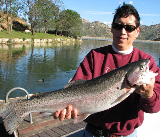Russel Park and a Rainbow Trout