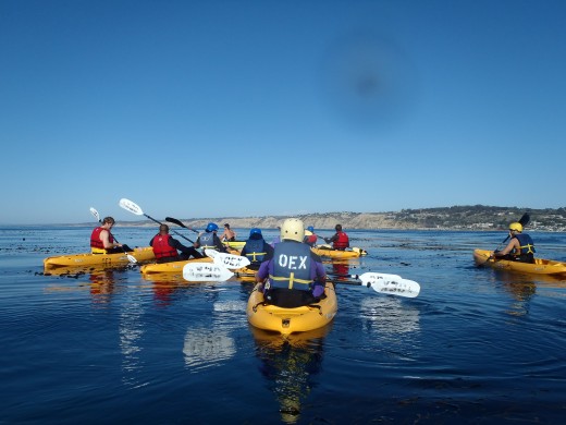 OEX Kayak Tour in La Jolla