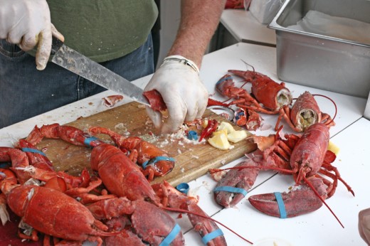 Lobster at the San Diego County Fair 