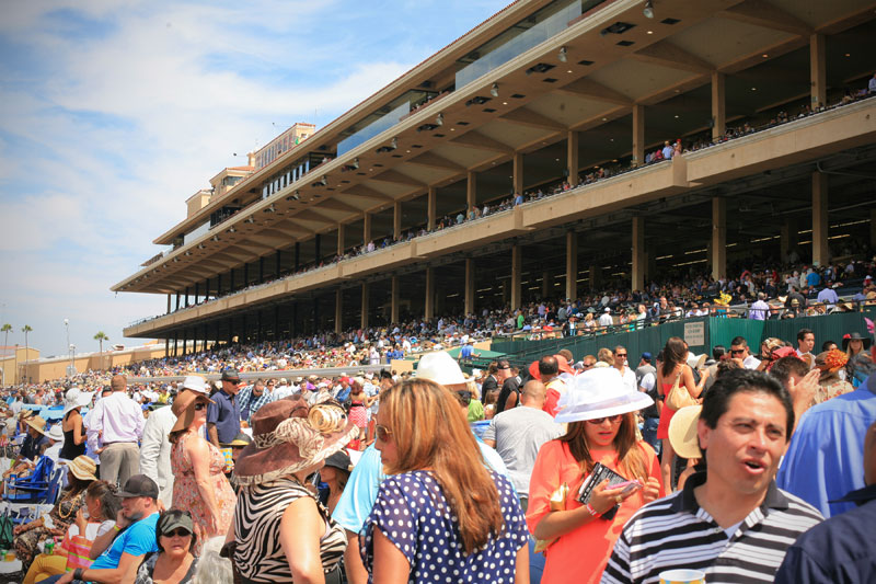 Opening Day at the Del Mar Racetrack