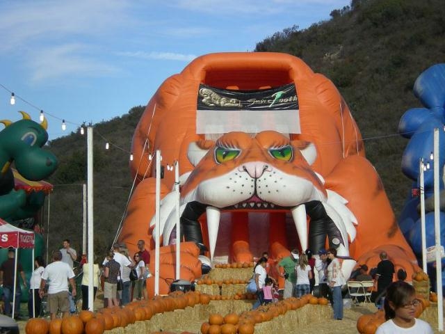 Tiger inflatable slide and pumpkins at Norris Amusements Pumpkin Patches