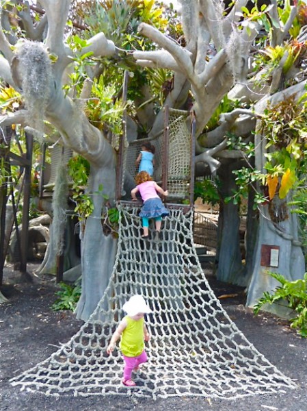 Kids Climbing a Tree at the San Diego Botanic Garden