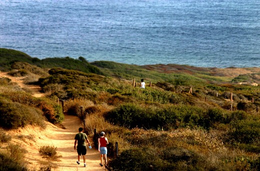 Hiking trough La Jolla's Torrey Pines State Park