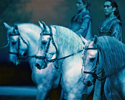 Horses - Cavalia