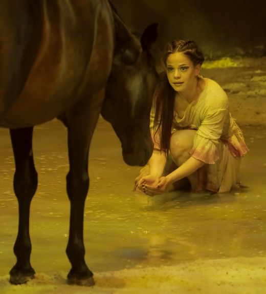 Human and Horse - Cavalia