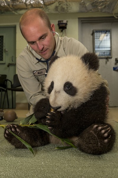 Spring's New Babies at San Diego Attractions