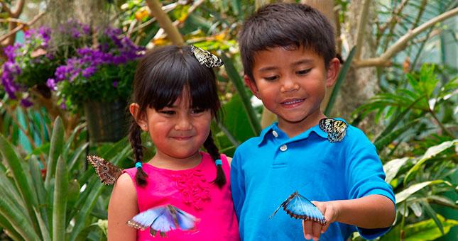 Butterfly Jungle at the San Diego Zoo Safari Park