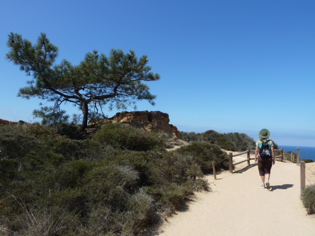 Torrey Pines - La Jolla - Scenic Waterfront Walks