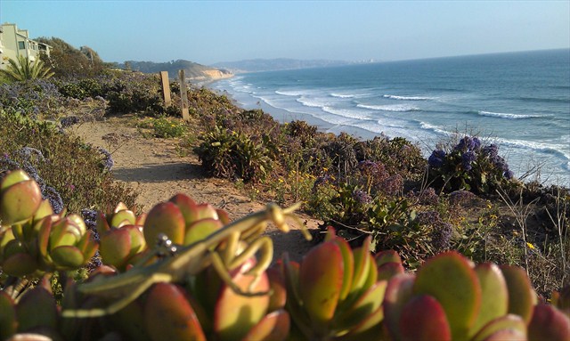 Del Mar's Sunset View