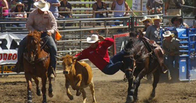 Ramona Rodeo - Top Things to Do in San Diego