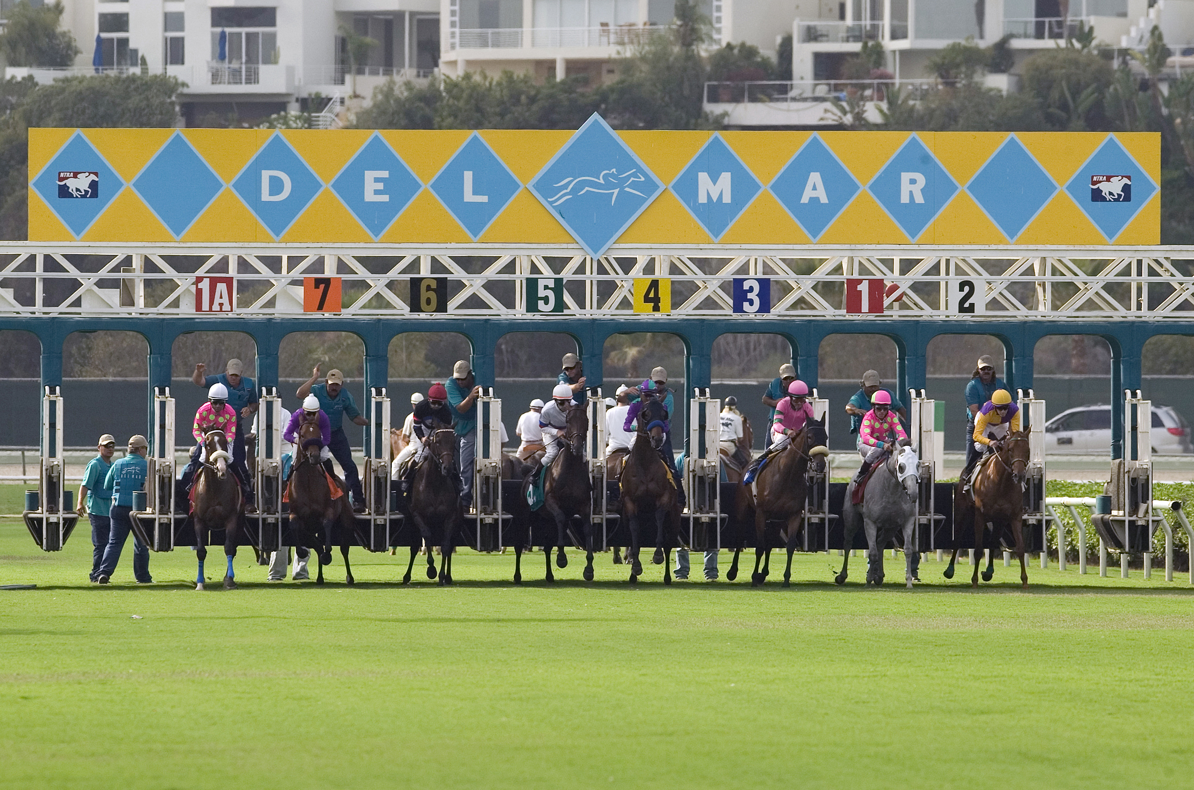 Del Mar Race Horses At Starting Gate Courtesy Sandiego Org San Diego Travel Blog