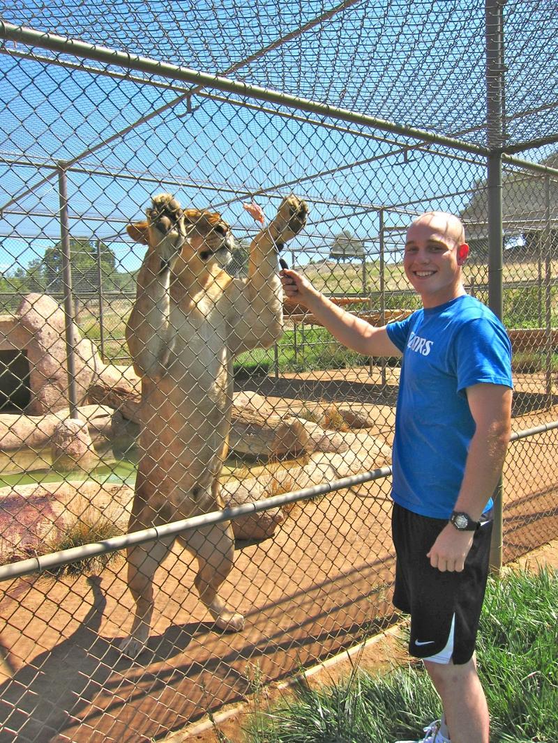 Feed-a-cat at Lions, Tigers & Bears!