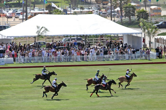 Polo Match at the San Diego Polo Club