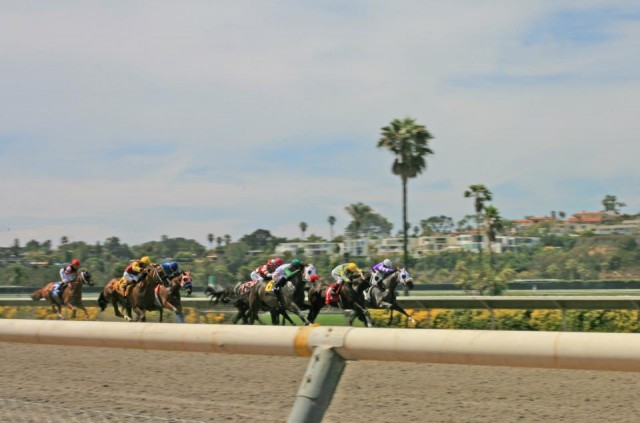 Get close and cheer loudly as your horse passes by at the Del Mar Racetrack in San Diego. 