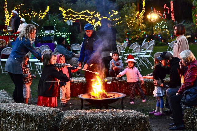 Garden of Lights San Diego Botanic Garden