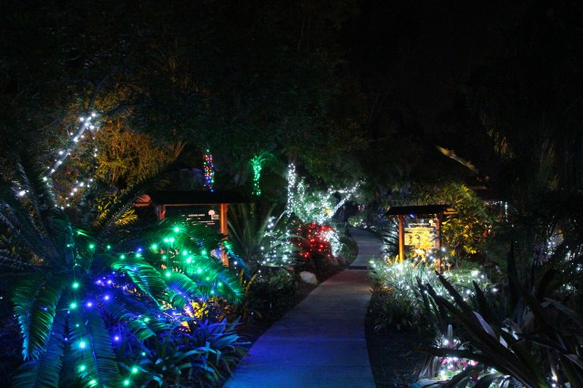 San Diego Botanic Gardens' Garden of Lights