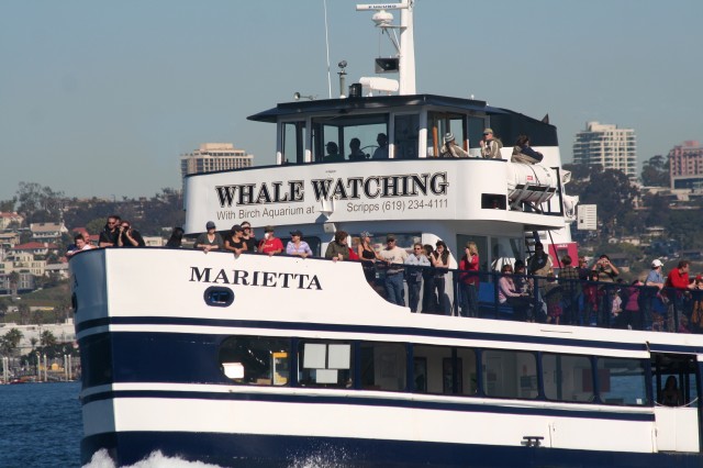 Take a ride with Flagship Harbor Excursions and sail the ocean blue in search of whales.