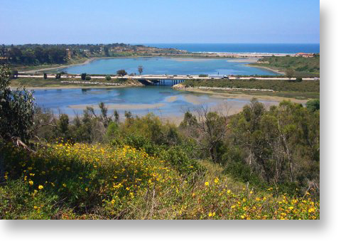 The Batiquitos Lagoon is a great place to see wildlife.