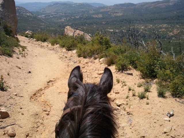 Horse Riding through Daley Ranch
