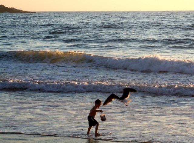 Playing at the Beach - Free Things to Do in San Diego