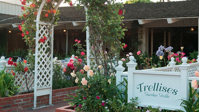 Trellises Garden Grille at Town & Country Resort