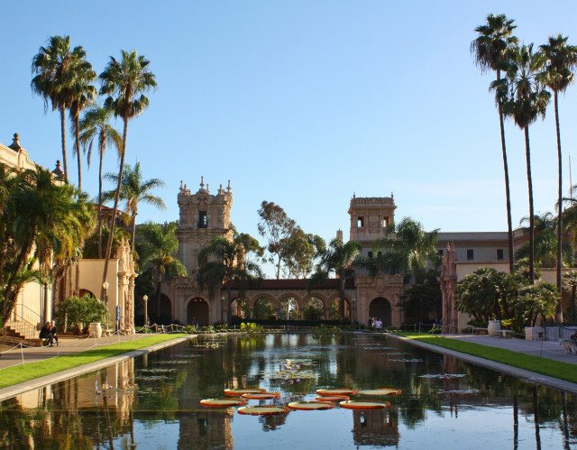 Balboa Park Lily Pond