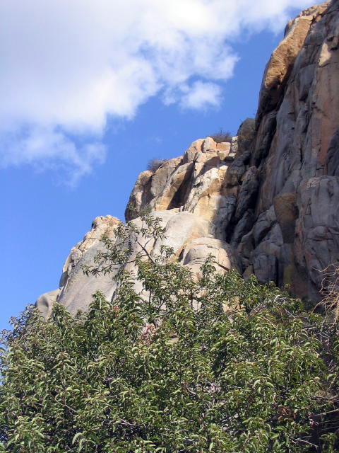 Climber's Loop Trail along Mission Gorge in Mission Trails Regional Park