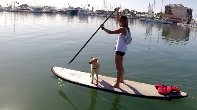 Pet Lovers Stand Up Paddleboard