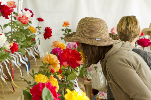 Coronado Flower Show