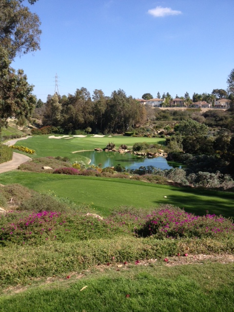 Park Hyatt Aviara Golf Club Hole 14