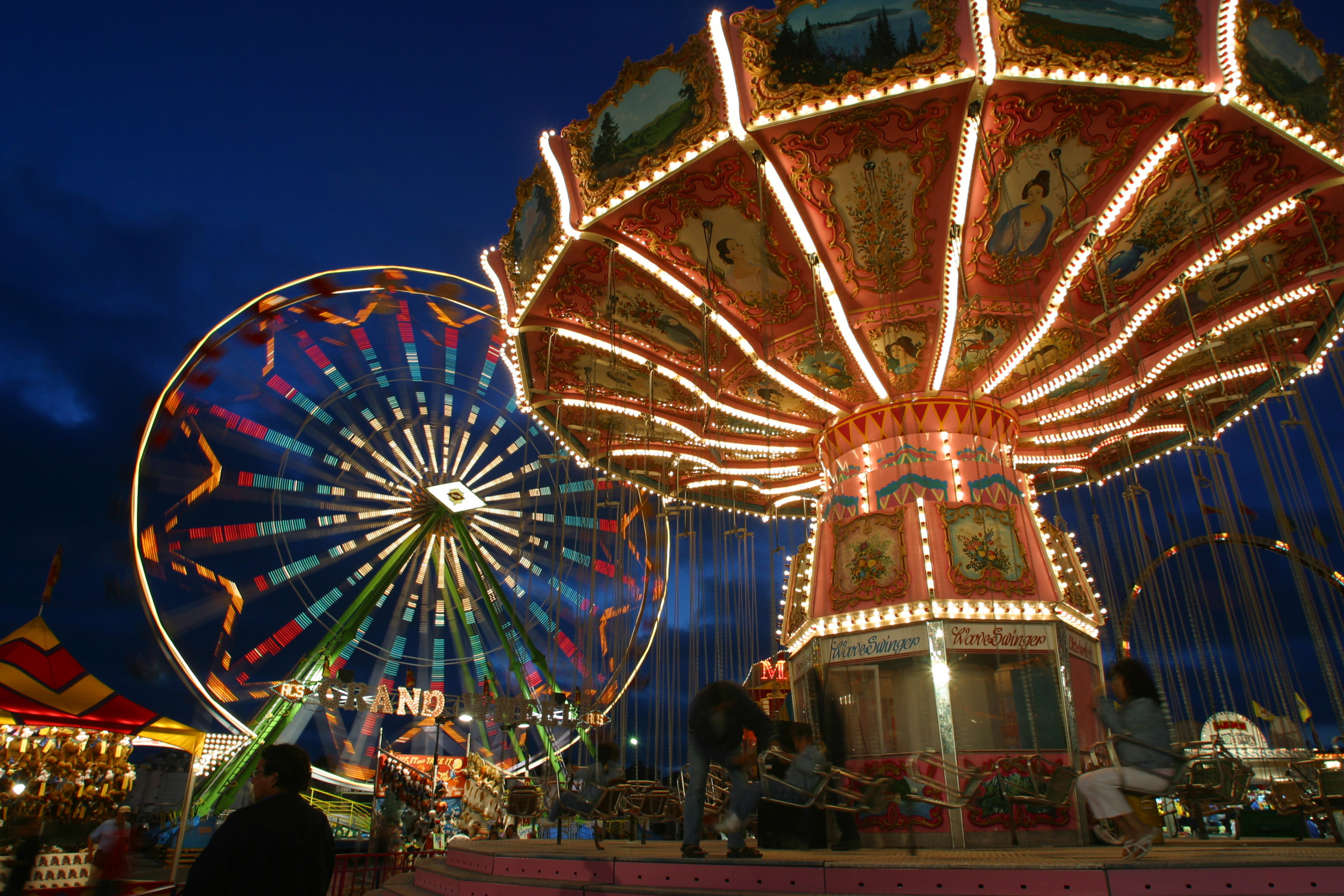 Fun Times At The San Diego County Fair   The World Is A Book