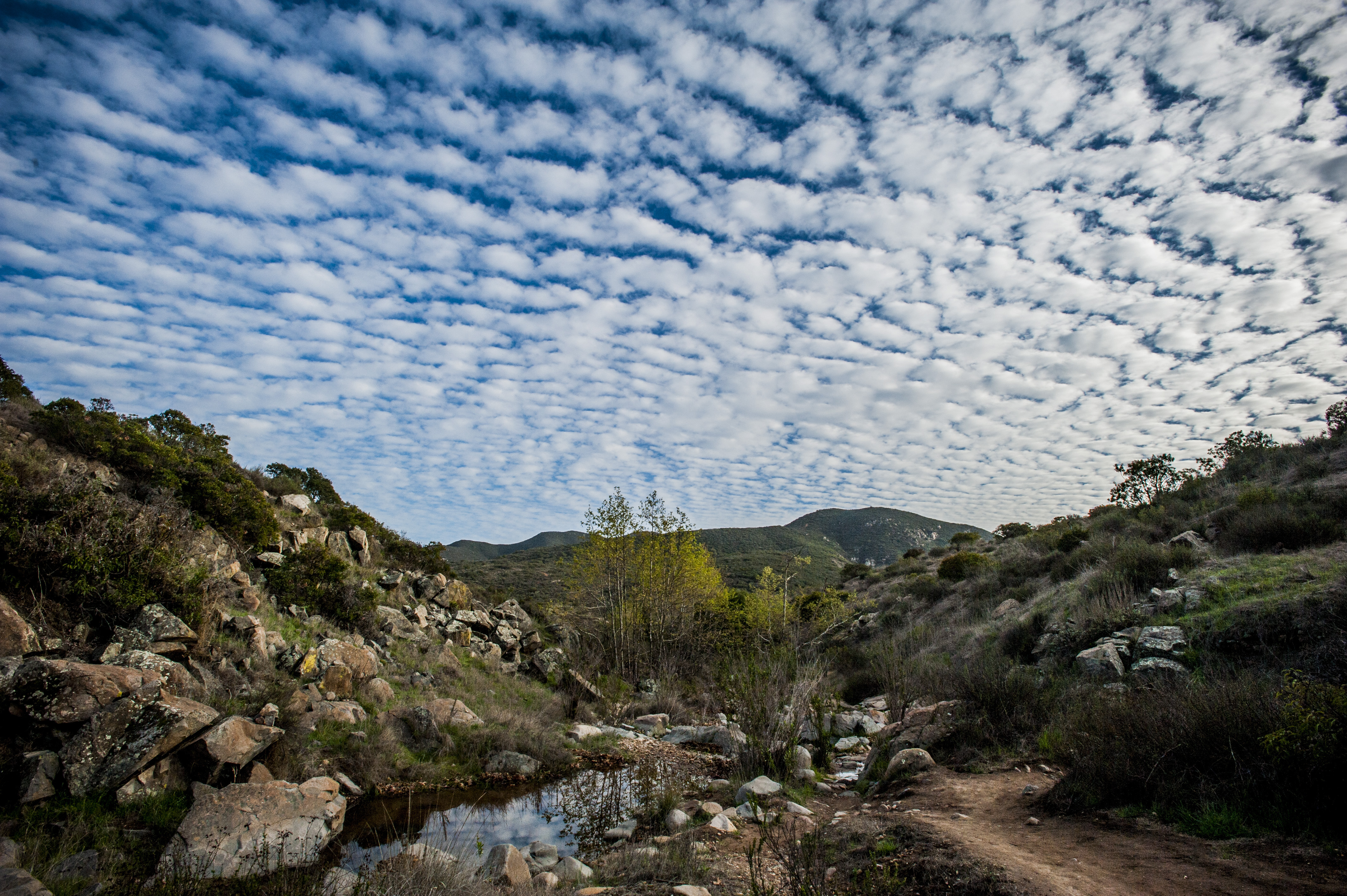 Mission Trails Regional Park- courtesy Ce Helton