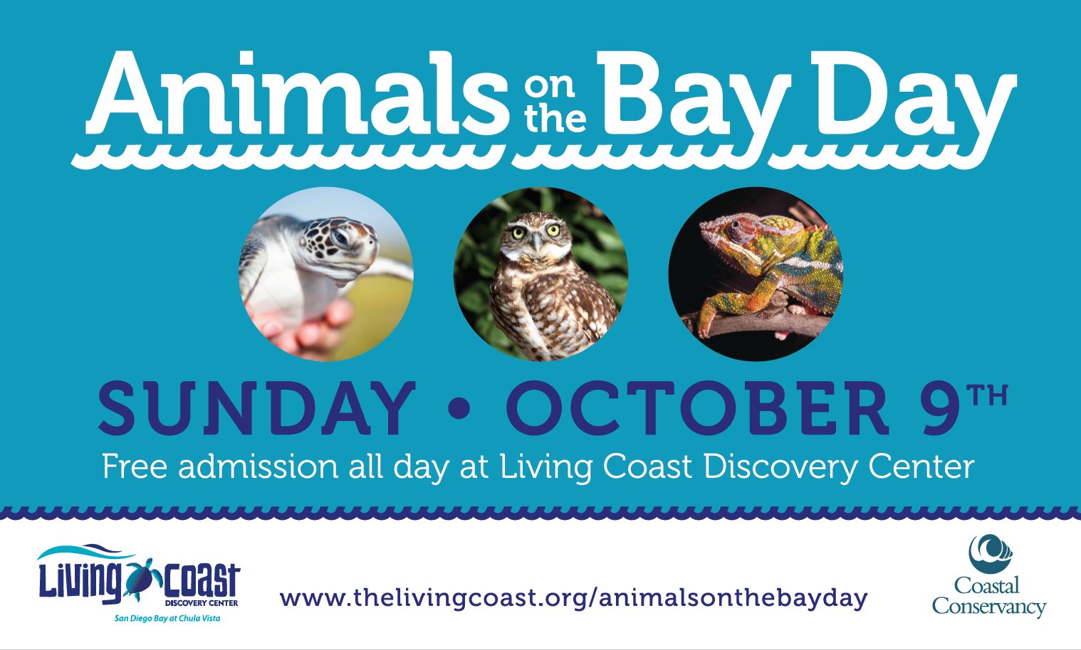 Animals on the Bay Day