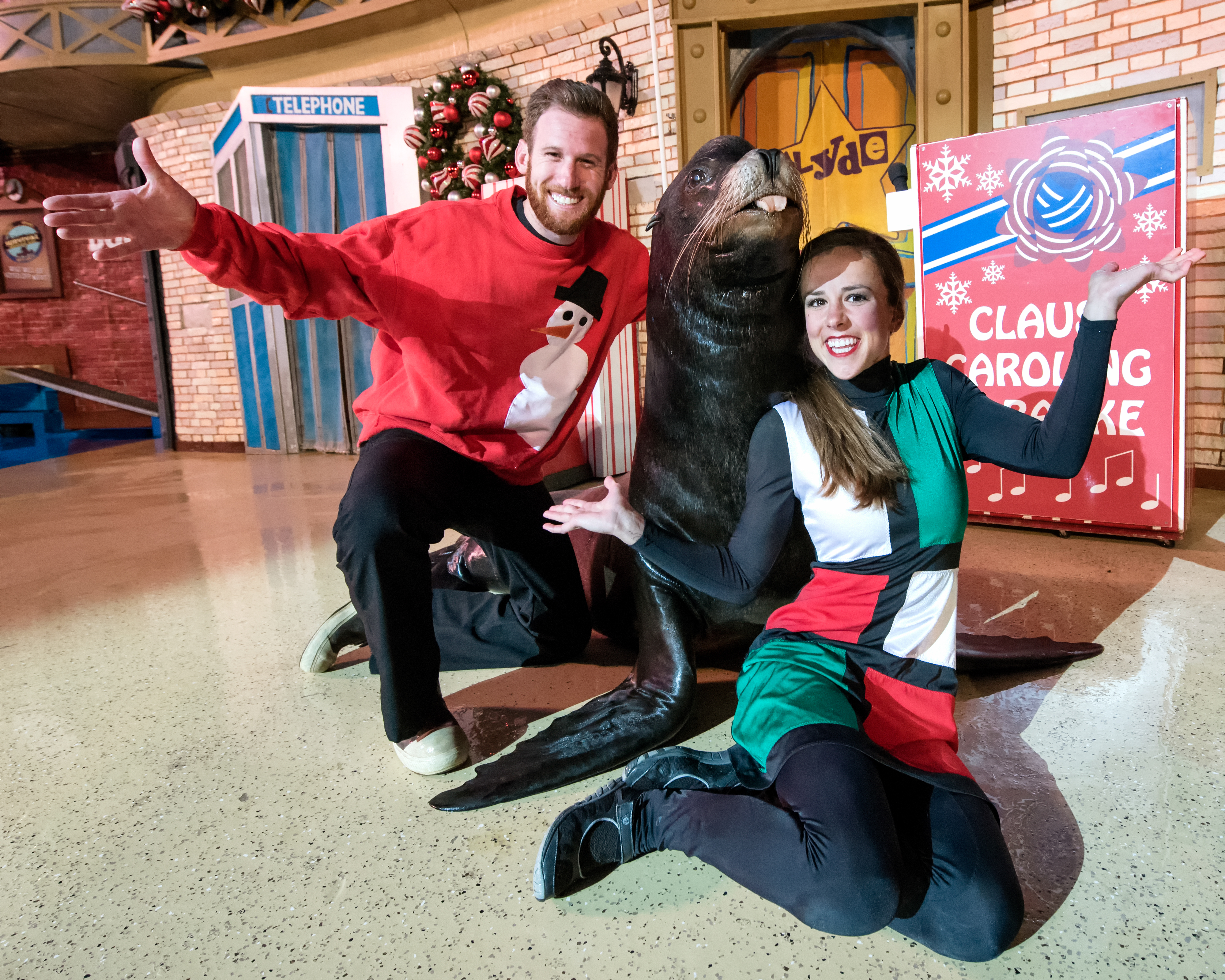 SeaWorld's Christmas Celebration