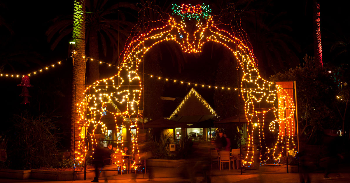 Holiday Attraction Action - Jungle Bells at the San Diego Zoo