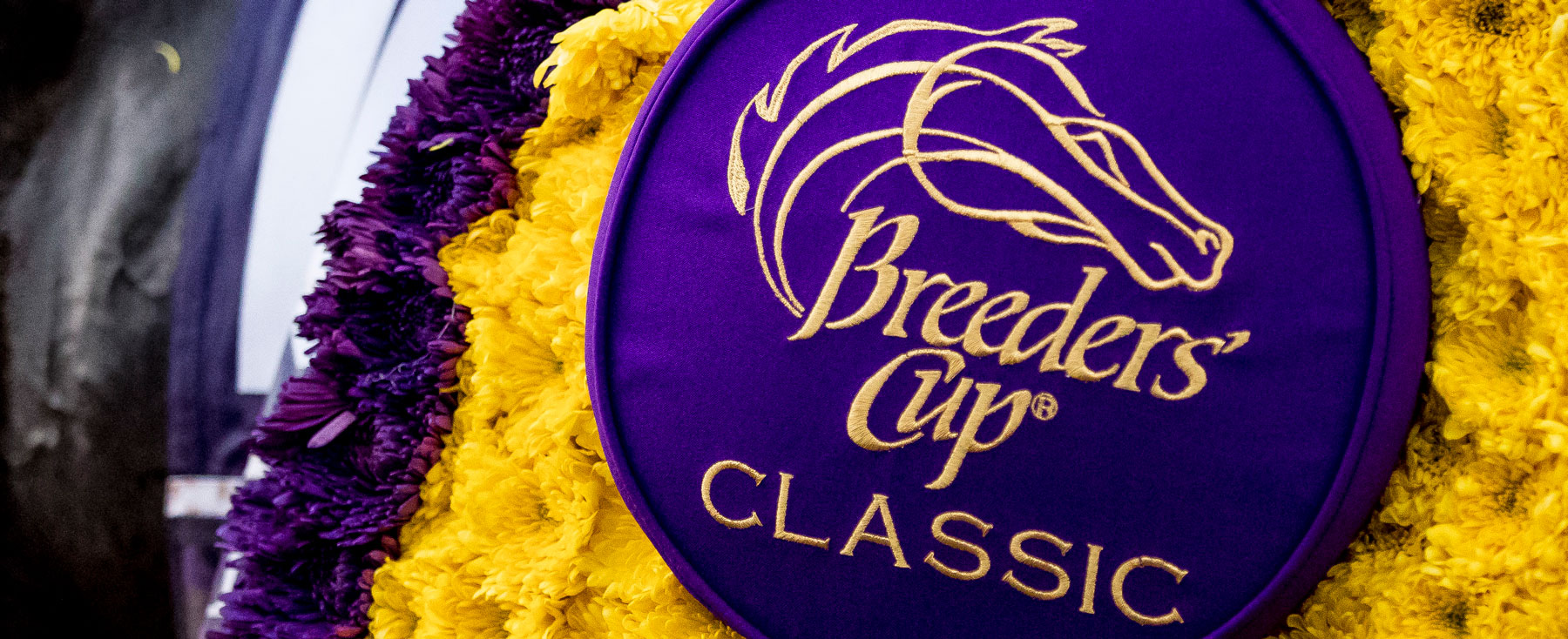 2017 Breeders' Cup World Championship