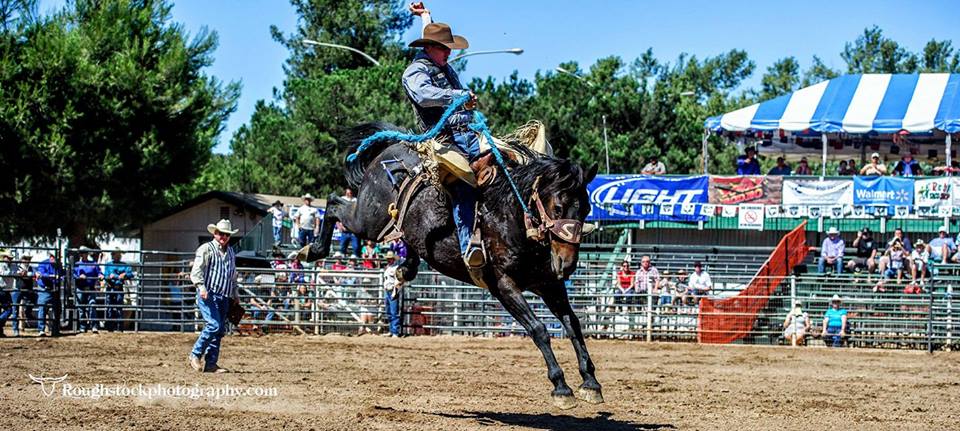 Poway Rodeo