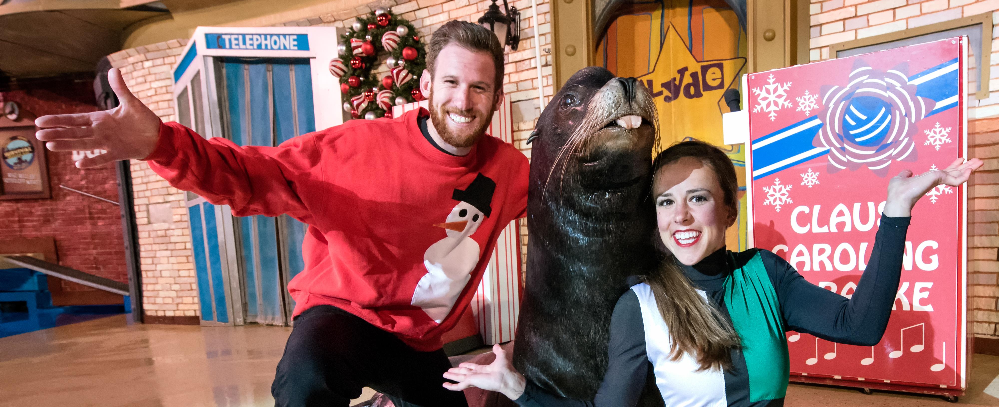 SeaWorld's Christmas Celebration