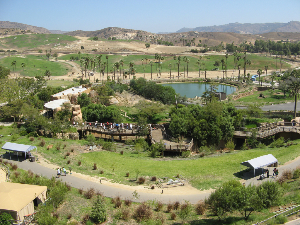 san diego safari park under 3