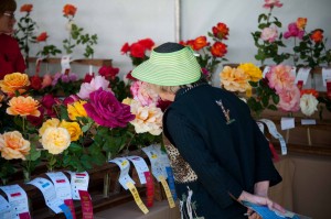 Coronado Flower Show - Top Things to Do in San Diego